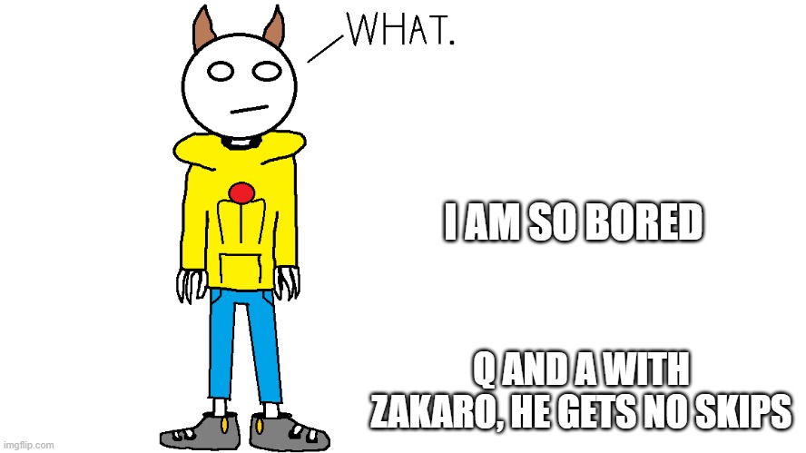 Zakaro "What." | I AM SO BORED; Q AND A WITH ZAKARO, HE GETS NO SKIPS | image tagged in zakaro what | made w/ Imgflip meme maker