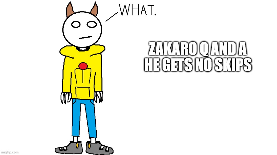 Zakaro "What." | ZAKARO Q AND A
HE GETS NO SKIPS | image tagged in zakaro what | made w/ Imgflip meme maker