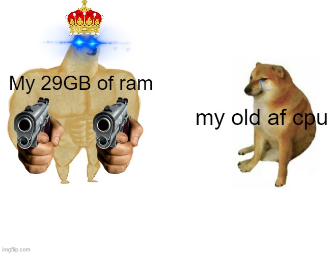 29GB of freaking ram | My 29GB of ram; my old af cpu | image tagged in memes,buff doge vs cheems | made w/ Imgflip meme maker
