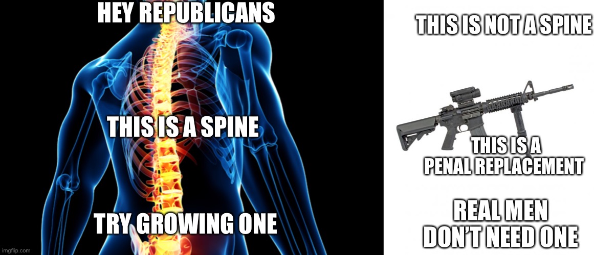 Sadly I never expected a modern republican to actually respect the country and they proved me right again | HEY REPUBLICANS; THIS IS A SPINE; THIS IS NOT A SPINE; THIS IS A PENAL REPLACEMENT; TRY GROWING ONE; REAL MEN DON’T NEED ONE | image tagged in spine,ar15 | made w/ Imgflip meme maker