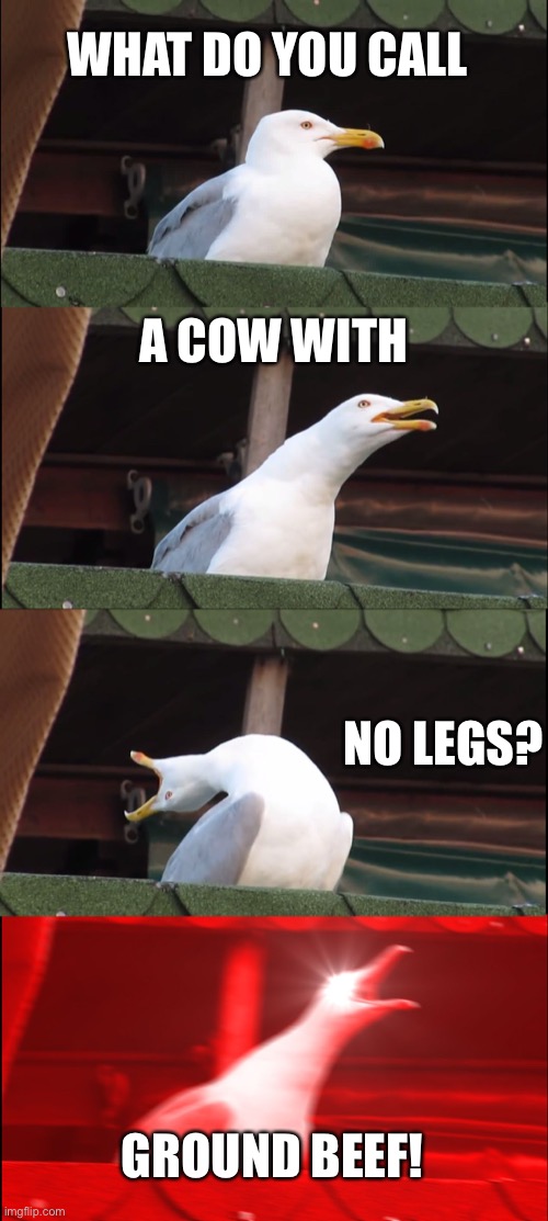 Inhaling Seagull | WHAT DO YOU CALL; A COW WITH; NO LEGS? GROUND BEEF! | image tagged in memes,inhaling seagull | made w/ Imgflip meme maker