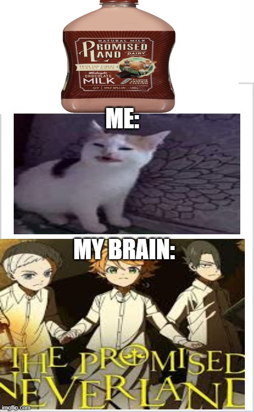 The Promised Neverland Chocolate milk????? | ME:; MY BRAIN: | image tagged in choccy milk | made w/ Imgflip meme maker