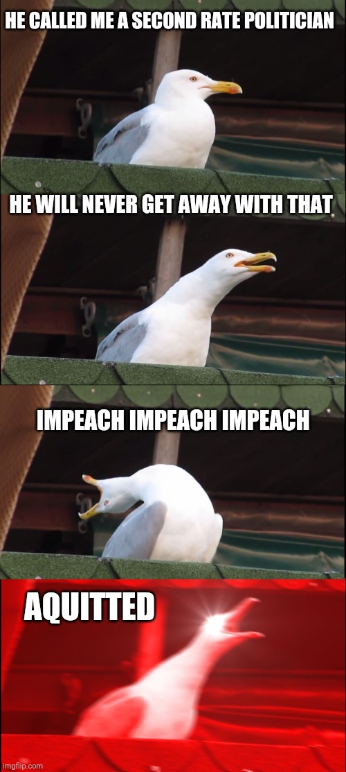 Pelosi | HE CALLED ME A SECOND RATE POLITICIAN; HE WILL NEVER GET AWAY WITH THAT; IMPEACH IMPEACH IMPEACH; AQUITTED | image tagged in memes,inhaling seagull | made w/ Imgflip meme maker