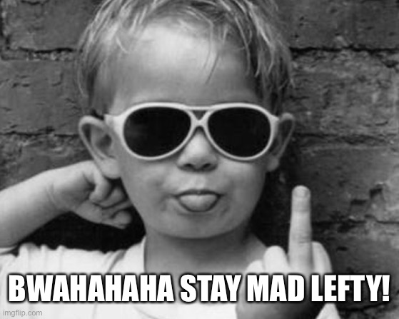 I Win | BWAHAHAHA STAY MAD LEFTY! | image tagged in i win | made w/ Imgflip meme maker