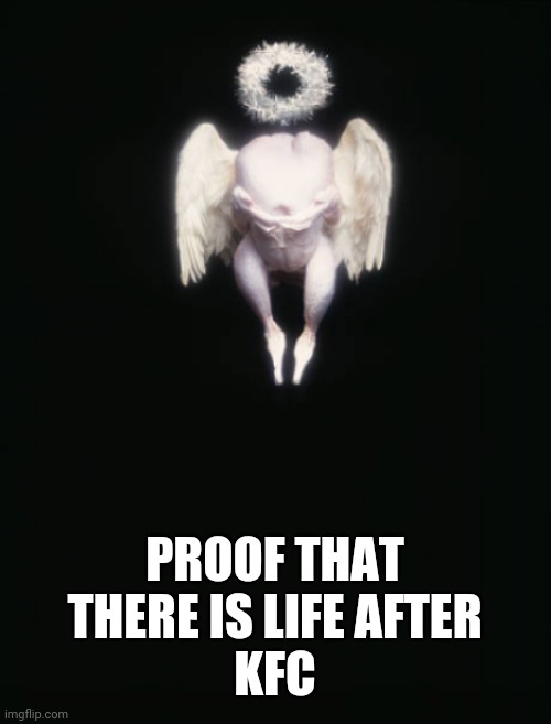 PROOF THAT
THERE IS LIFE AFTER
KFC | image tagged in is there life after death | made w/ Imgflip meme maker
