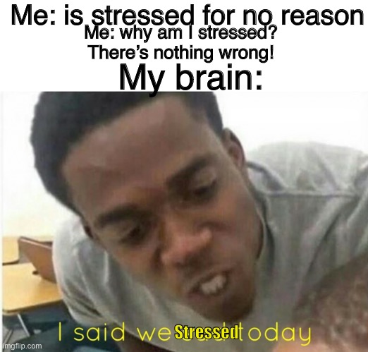 i said we ____ today | Me: is stressed for no reason; Me: why am I stressed? There’s nothing wrong! My brain:; Stressed | image tagged in i said we ____ today,relatable | made w/ Imgflip meme maker