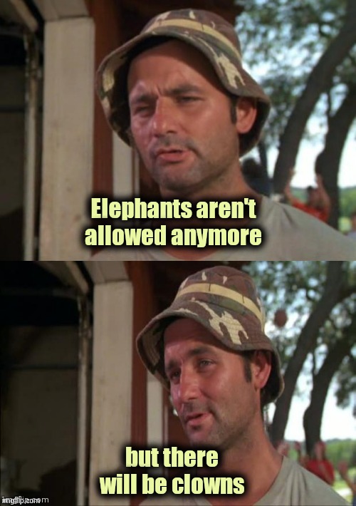 Bill Murray bad joke | Elephants aren't allowed anymore but there will be clowns | image tagged in bill murray bad joke | made w/ Imgflip meme maker