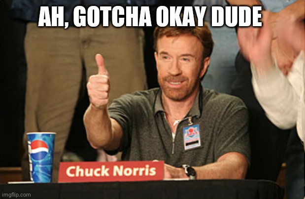 Chuck Norris Approves Meme | AH, GOTCHA OKAY DUDE | image tagged in memes,chuck norris approves,chuck norris | made w/ Imgflip meme maker