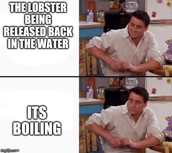 Comprehending Joey | THE LOBSTER BEING RELEASED BACK IN THE WATER; ITS BOILING | image tagged in comprehending joey | made w/ Imgflip meme maker