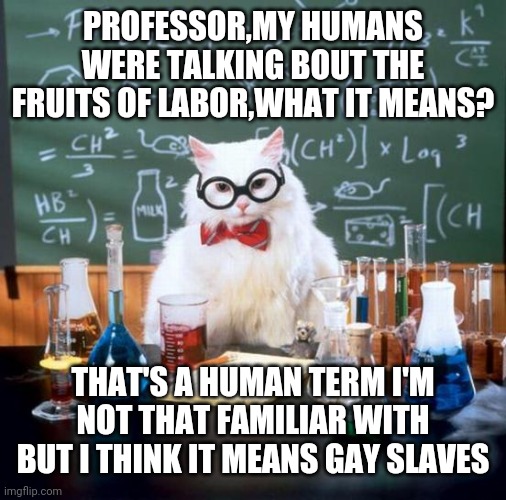 Chemistry Cat Meme | PROFESSOR,MY HUMANS WERE TALKING BOUT THE FRUITS OF LABOR,WHAT IT MEANS? THAT'S A HUMAN TERM I'M NOT THAT FAMILIAR WITH BUT I THINK IT MEANS GAY SLAVES | image tagged in memes,chemistry cat | made w/ Imgflip meme maker