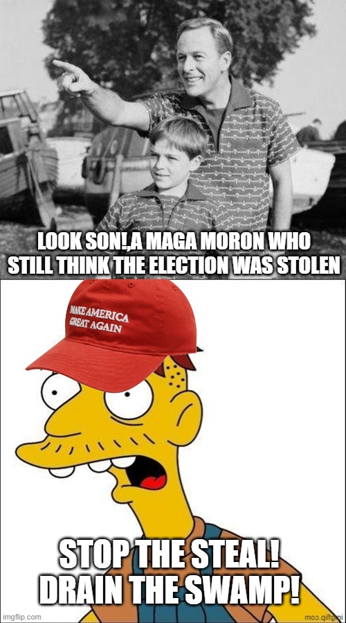 STOP THE STEAL! DRAIN THE SWAMP! LOOK SON!,A MAGA MORON WHO STILL THINK THE ELECTION WAS STOLEN | image tagged in memes,look son,some kind of maga moron | made w/ Imgflip meme maker
