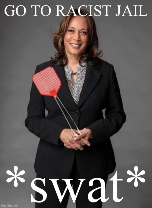 swat | GO TO RACIST JAIL; *swat* | image tagged in kamala harris flyswatter | made w/ Imgflip meme maker