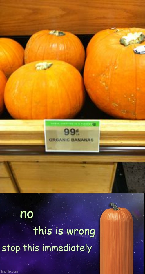 Those are pumpkins, not organic bananas. | image tagged in pumpkin facts,pumpkins,you had one job,memes,meme,pumpkin | made w/ Imgflip meme maker