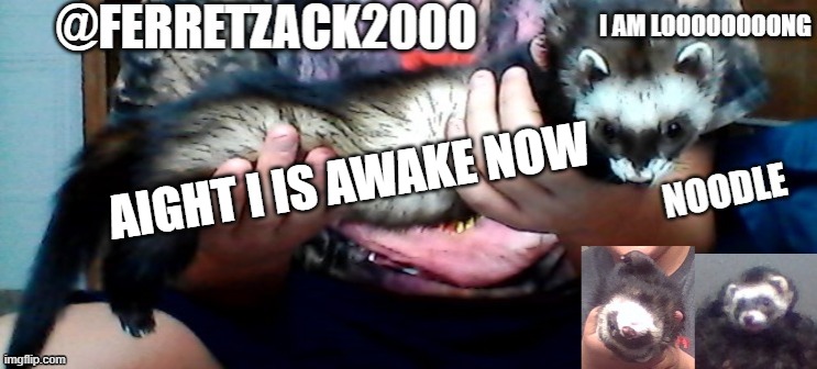 noodle's template | AIGHT I IS AWAKE NOW | image tagged in noodle's template | made w/ Imgflip meme maker