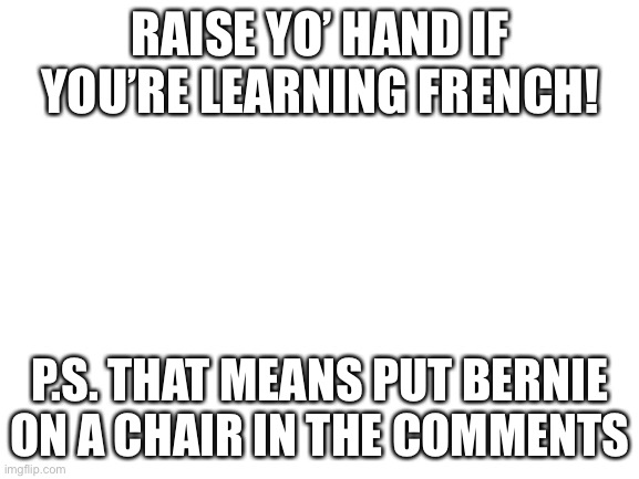 Blank White Template | RAISE YO’ HAND IF YOU’RE LEARNING FRENCH! P.S. THAT MEANS PUT BERNIE ON A CHAIR IN THE COMMENTS | image tagged in blank white template | made w/ Imgflip meme maker