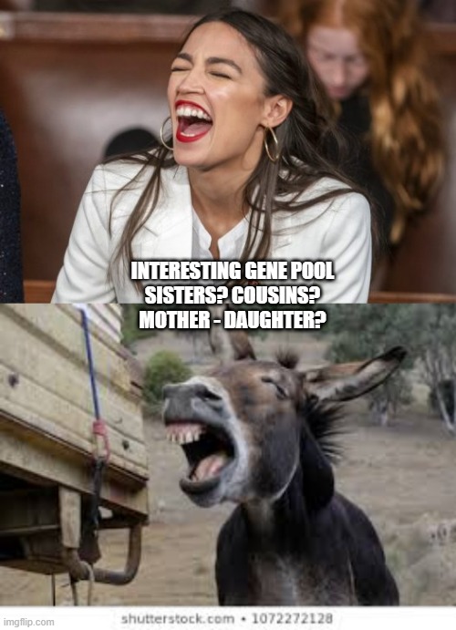 AOC Family |  INTERESTING GENE POOL SISTERS? COUSINS? MOTHER - DAUGHTER? | image tagged in aoc | made w/ Imgflip meme maker