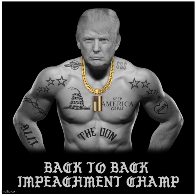 Being impeached by the swamp is a badge of honor. | image tagged in maga | made w/ Imgflip meme maker