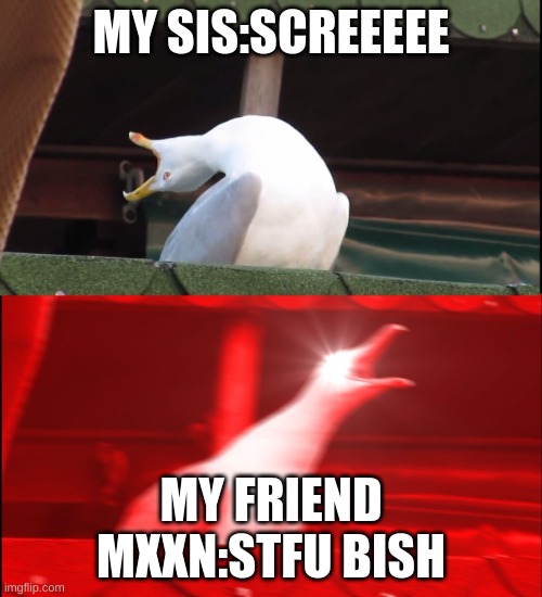 Help- | MY SIS:SCREEEEE; MY FRIEND MXXN:STFU BISH | image tagged in screaming bird | made w/ Imgflip meme maker