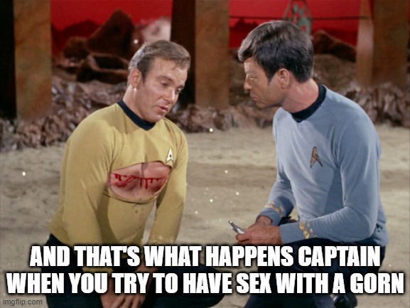 Keep It In Your Pants Jim | AND THAT'S WHAT HAPPENS CAPTAIN WHEN YOU TRY TO HAVE SEX WITH A GORN | image tagged in star trek kirk bloody | made w/ Imgflip meme maker