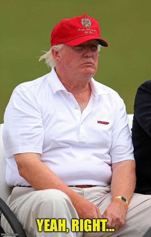 Fat Trumps | YEAH, RIGHT... | image tagged in fat trumps | made w/ Imgflip meme maker