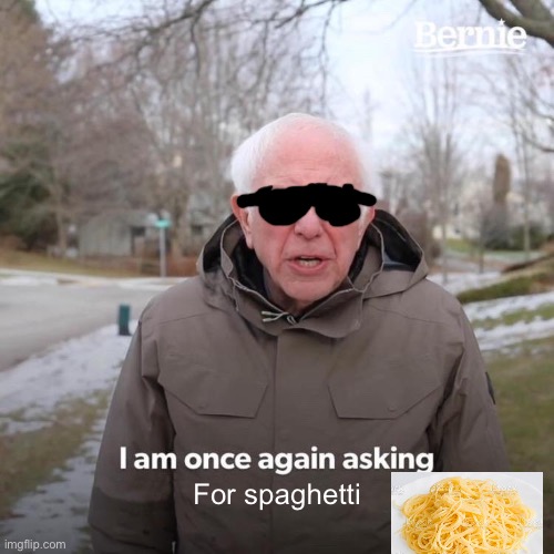 Bernie I Am Once Again Asking For Your Support | For spaghetti | image tagged in memes,bernie i am once again asking for your support | made w/ Imgflip meme maker