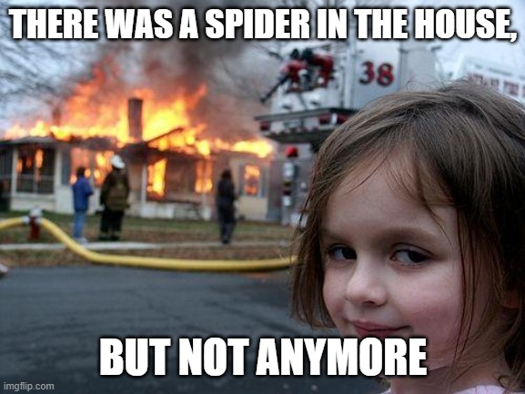 Disaster Girl | THERE WAS A SPIDER IN THE HOUSE, BUT NOT ANYMORE | image tagged in memes,disaster girl | made w/ Imgflip meme maker