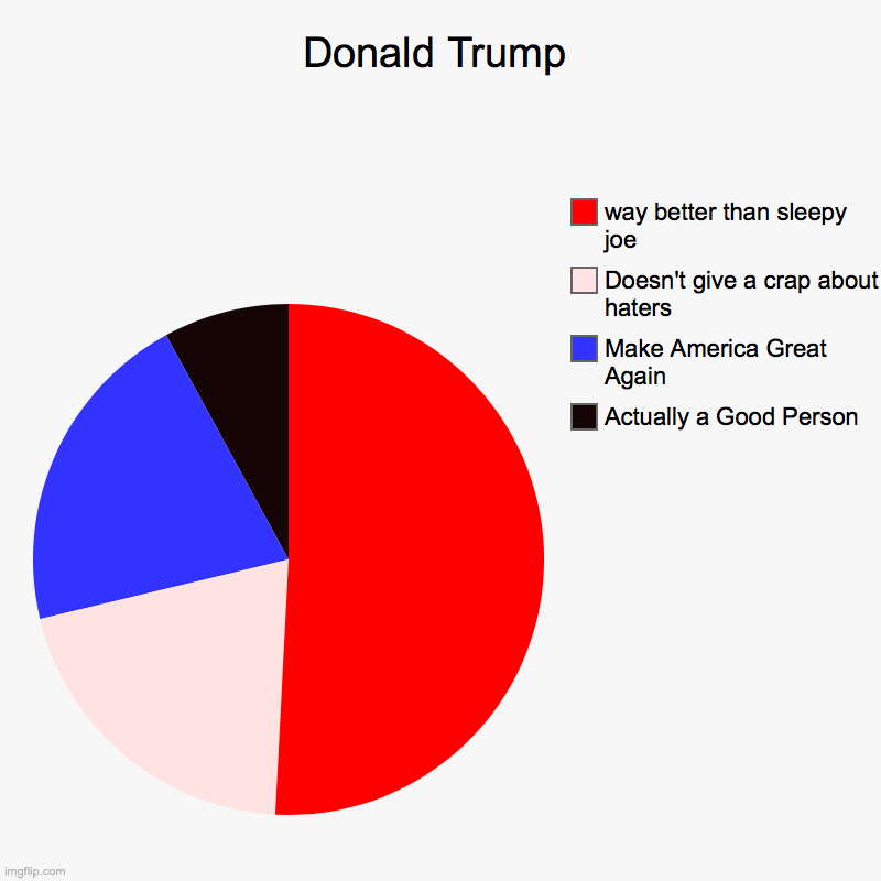 Donald Trump | Actually a Good Person, Make America Great Again, Doesn't give a crap about haters, way better than sleepy joe | image tagged in charts,pie charts | made w/ Imgflip chart maker