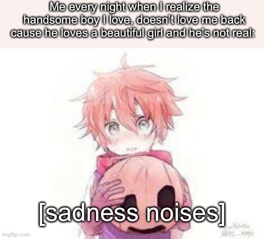 Me every night when I realize the handsome boy I love, doesn’t love me back cause he loves a beautiful girl and he’s not real:; [sadness noises] | made w/ Imgflip meme maker