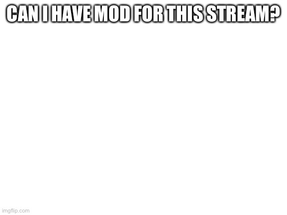 Hi | CAN I HAVE MOD FOR THIS STREAM? | image tagged in blank white template | made w/ Imgflip meme maker