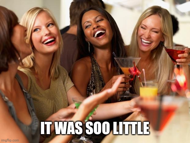 girls laughing | IT WAS SOO LITTLE | image tagged in girls laughing | made w/ Imgflip meme maker