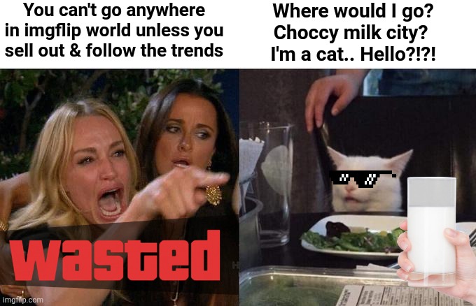 A cool cat | You can't go anywhere in imgflip world unless you sell out & follow the trends; Where would I go?
Choccy milk city? 
I'm a cat.. Hello?!?! | image tagged in memes,woman yelling at cat,choccy milk,funny,gta 5,deal with it | made w/ Imgflip meme maker