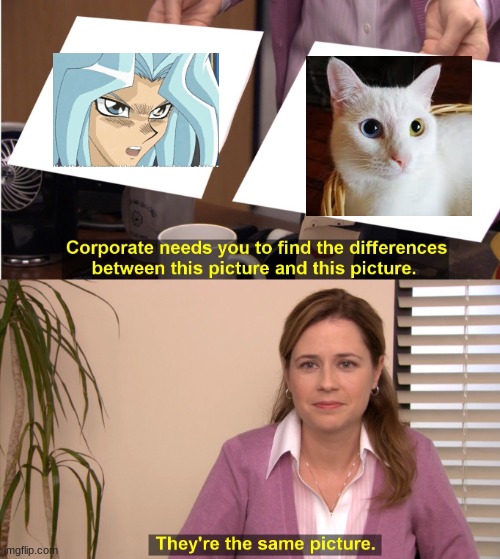 Dartz is a cat | made w/ Imgflip meme maker