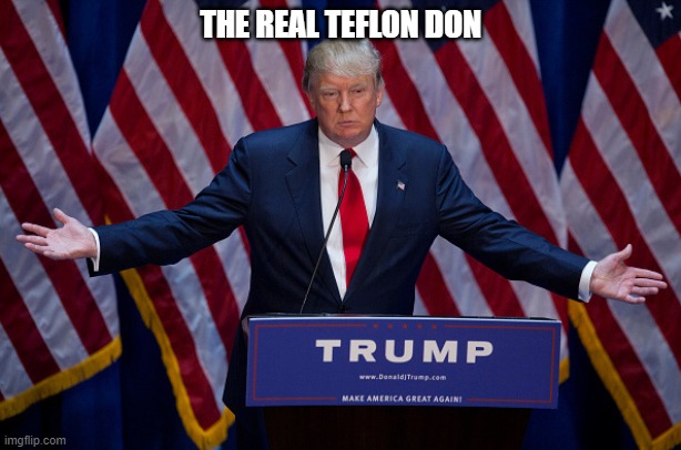 Donald Trump | THE REAL TEFLON DON | image tagged in donald trump | made w/ Imgflip meme maker