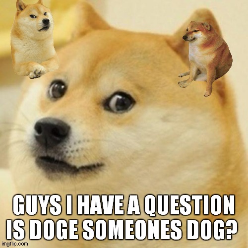 wow doge | GUYS I HAVE A QUESTION IS DOGE SOMEONES DOG? | image tagged in wow doge | made w/ Imgflip meme maker