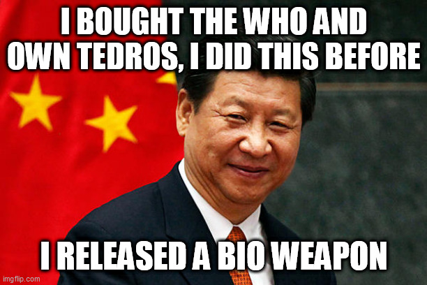 Xi Jinping | I BOUGHT THE WHO AND OWN TEDROS, I DID THIS BEFORE; I RELEASED A BIO WEAPON | image tagged in xi jinping | made w/ Imgflip meme maker