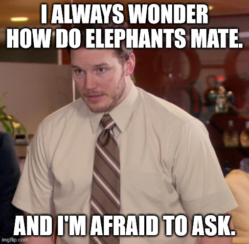 Afraid To Ask Andy | I ALWAYS WONDER HOW DO ELEPHANTS MATE. AND I'M AFRAID TO ASK. | image tagged in memes,afraid to ask andy | made w/ Imgflip meme maker