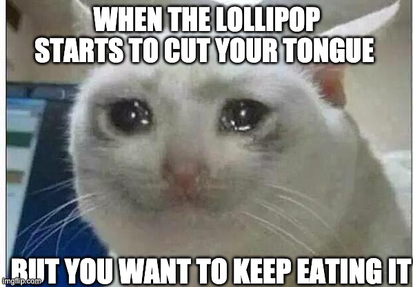 lollipop | WHEN THE LOLLIPOP STARTS TO CUT YOUR TONGUE; BUT YOU WANT TO KEEP EATING IT | image tagged in crying cat | made w/ Imgflip meme maker