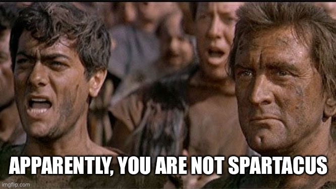 i am spartacus | APPARENTLY, YOU ARE NOT SPARTACUS | image tagged in i am spartacus | made w/ Imgflip meme maker