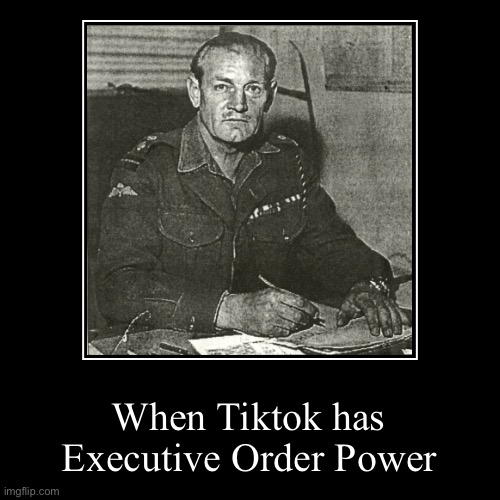 Tiktok Stock goes Public | When Tiktok has | Executive Order Power | image tagged in funny,demotivationals,pewdiepie,tik tok,tiktok,tiktok logo | made w/ Imgflip demotivational maker