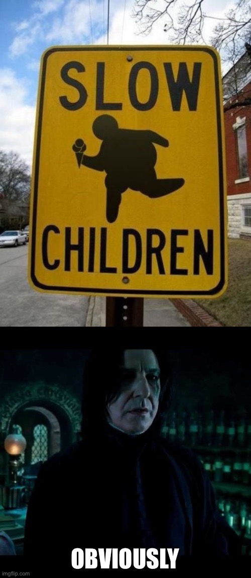 OBVIOUSLY | image tagged in snape obviously,harry potter,sign,obviously | made w/ Imgflip meme maker