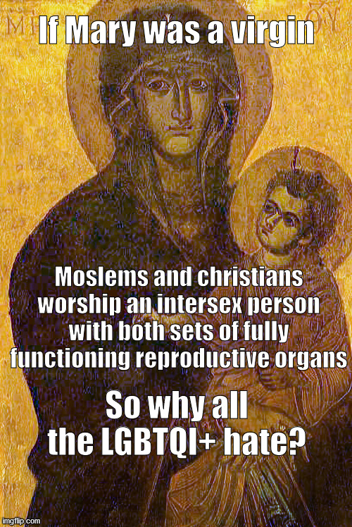 Virgin Mary | If Mary was a virgin; Moslems and christians worship an intersex person with both sets of fully functioning reproductive organs; So why all the LGBTQI+ hate? | image tagged in virgin mary | made w/ Imgflip meme maker
