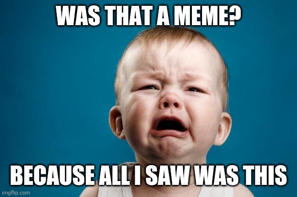 Crybaby carl | WAS THAT A MEME? BECAUSE ALL I SAW WAS THIS | image tagged in crybaby carl | made w/ Imgflip meme maker