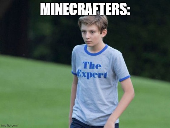 The Expert | MINECRAFTERS: | image tagged in the expert | made w/ Imgflip meme maker