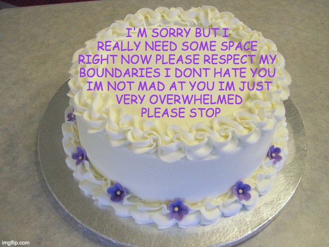 Need Space Cake | I'M SORRY BUT I 
REALLY NEED SOME SPACE 
RIGHT NOW PLEASE RESPECT MY 
BOUNDARIES I DONT HATE YOU 
IM NOT MAD AT YOU IM JUST
VERY OVERWHELMED
 PLEASE STOP | image tagged in blank cake meme,mental health,leave me alone,go away,please stop | made w/ Imgflip meme maker