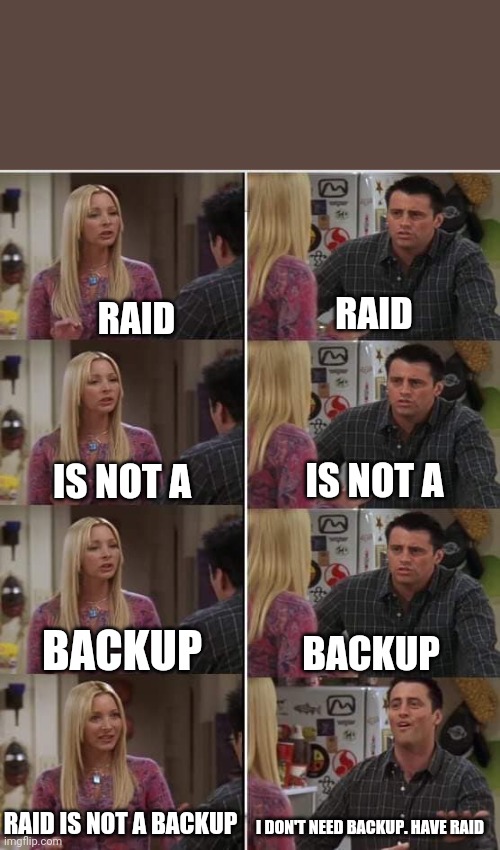 Phoebe Joey | RAID; RAID; IS NOT A; IS NOT A; BACKUP; BACKUP; RAID IS NOT A BACKUP; I DON'T NEED BACKUP. HAVE RAID | image tagged in phoebe joey | made w/ Imgflip meme maker