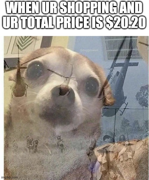 2020...I'll never forget that number | WHEN UR SHOPPING AND UR TOTAL PRICE IS $20.20 | image tagged in ptsd chihuahua | made w/ Imgflip meme maker