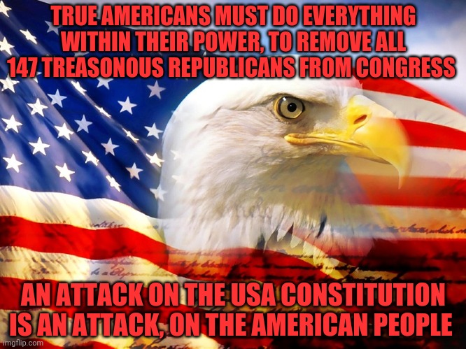 USA Flag | TRUE AMERICANS MUST DO EVERYTHING WITHIN THEIR POWER, TO REMOVE ALL 147 TREASONOUS REPUBLICANS FROM CONGRESS; AN ATTACK ON THE USA CONSTITUTION IS AN ATTACK, ON THE AMERICAN PEOPLE | image tagged in usa flag | made w/ Imgflip meme maker