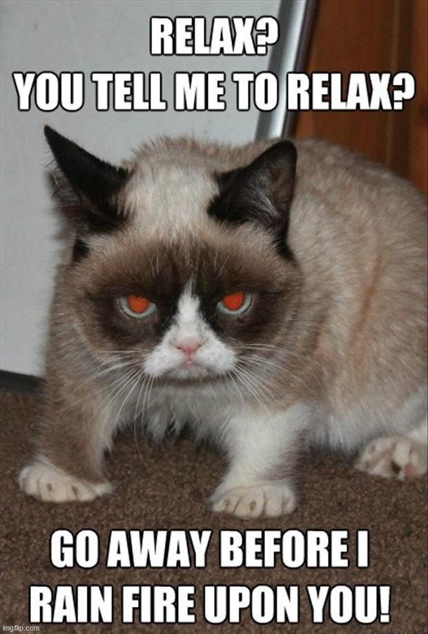 image tagged in cats | made w/ Imgflip meme maker