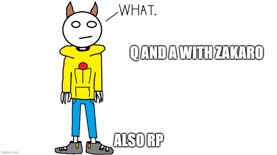 Zakaro "What." | Q AND A WITH ZAKARO; ALSO RP | image tagged in zakaro what | made w/ Imgflip meme maker