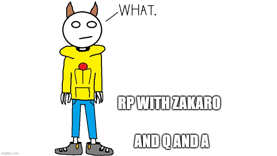 Zakaro "What." | RP WITH ZAKARO; AND Q AND A | image tagged in zakaro what | made w/ Imgflip meme maker